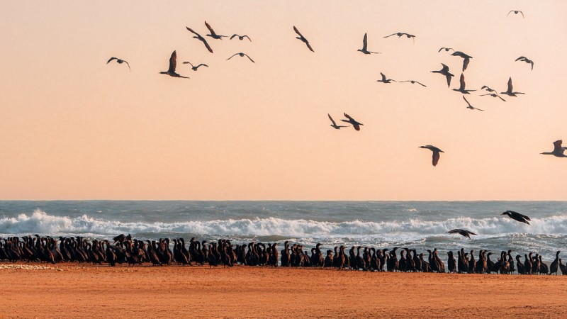 Kajian Islam Berdasarkan Al-Qur’an dan Sunnah