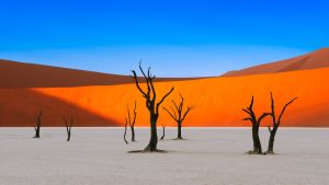 Kajian Islam Berdasarkan Al-Qur’an dan Sunnah